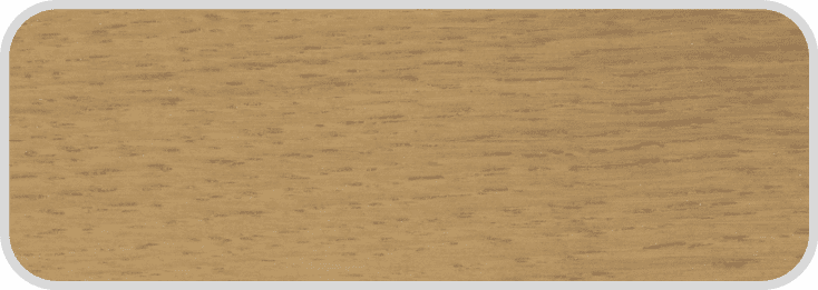 WS_1-E WS_1-E