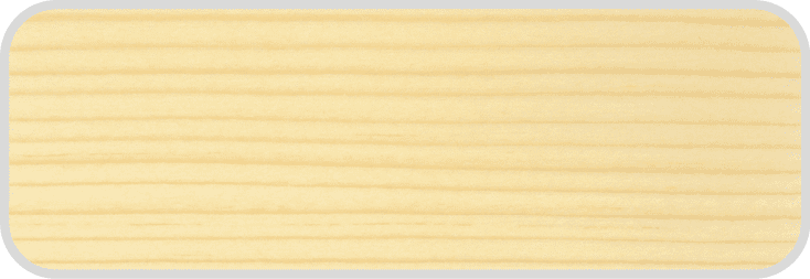 WS_2 WS_2