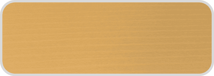 WS_4 WS_4