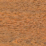 3095 - DUB ZLATÝ  3095 - DUB ZLATÝ